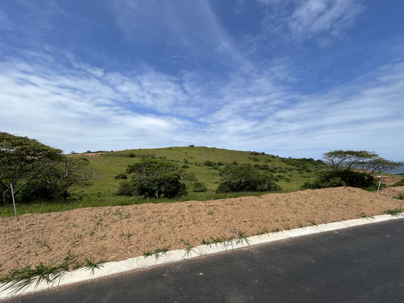 1333sqm Stand in a Quiet Position of Seaton Estate - Photo 9