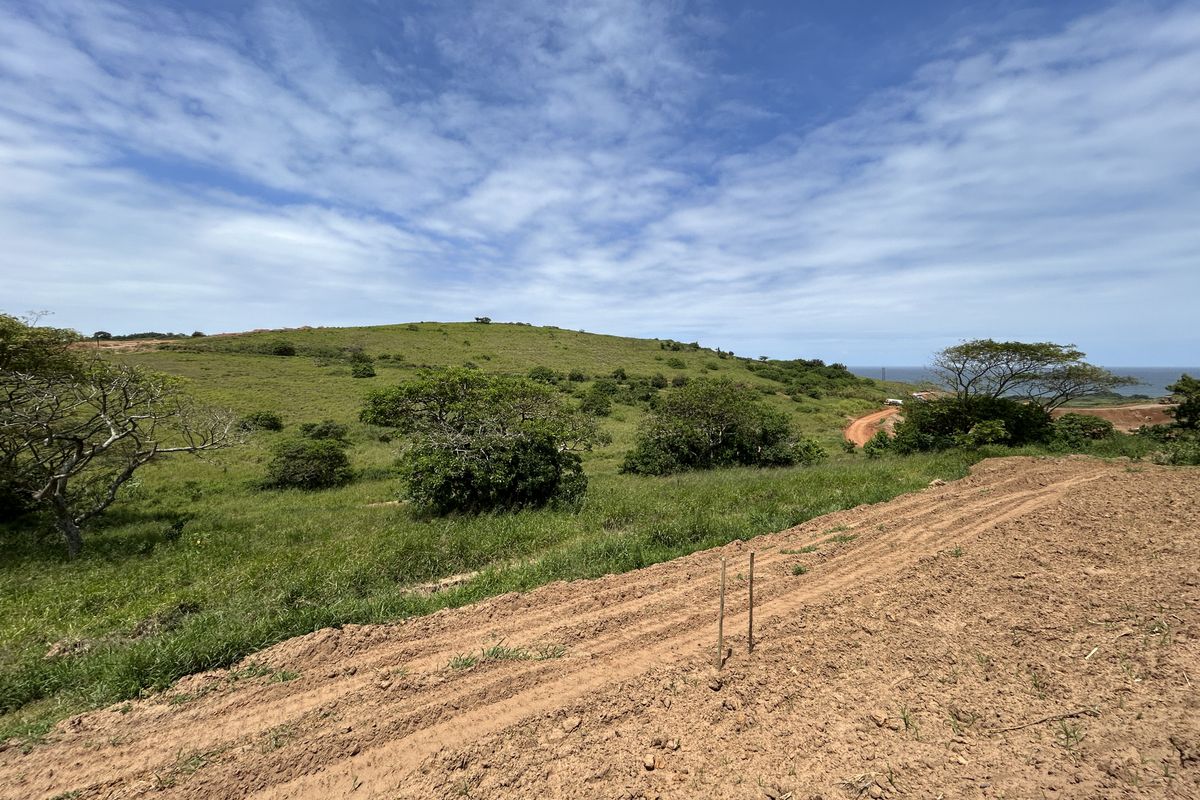 1333sqm Stand in a Quiet Position of Seaton Estate - Photo 5