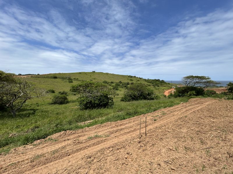 1333sqm Stand in a Quiet Position of Seaton Estate - Photo 5