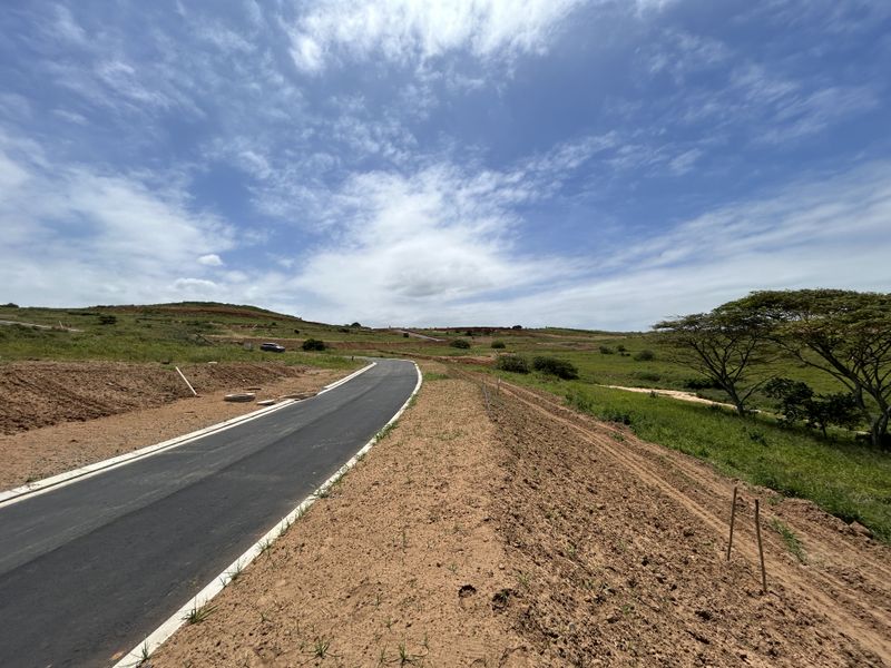 1333sqm Stand in a Quiet Position of Seaton Estate - Photo 8