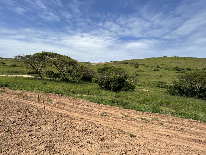 1333sqm Stand in a Quiet Position of Seaton Estate - Photo 7