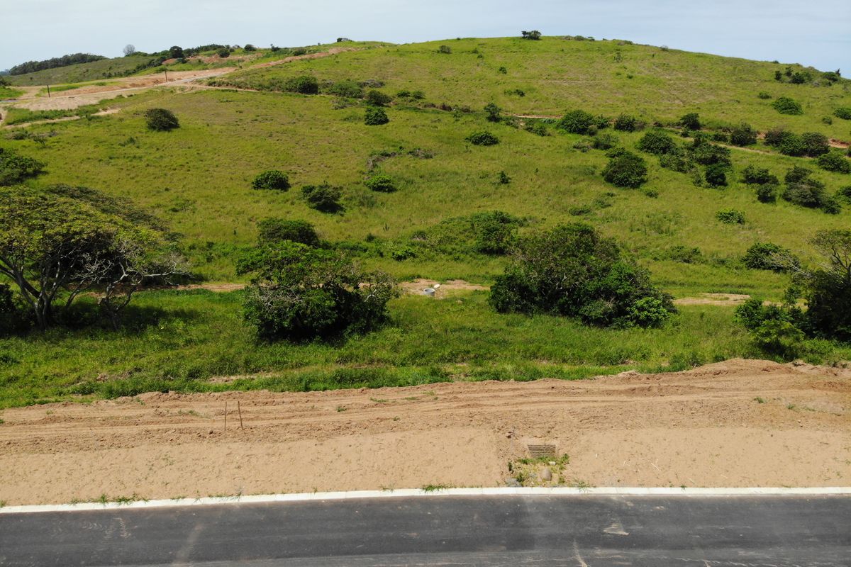 1333sqm Stand in a Quiet Position of Seaton Estate - Photo 2