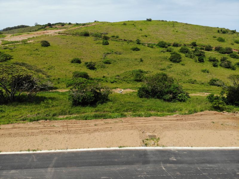 1333sqm Stand in a Quiet Position of Seaton Estate - Photo 2