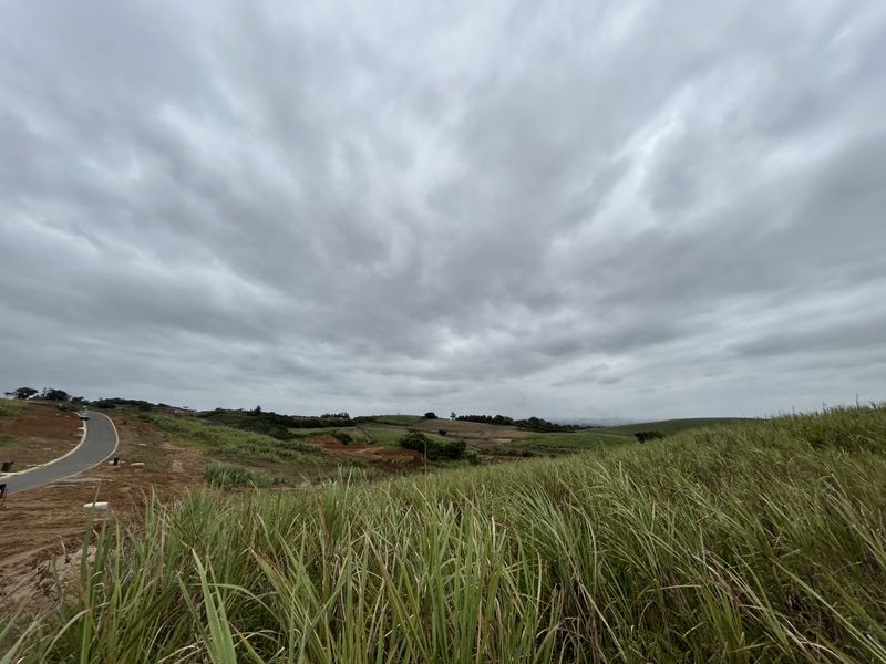 Expansive 1453sqm Stand in The Knoll Precinct H - Photo 7