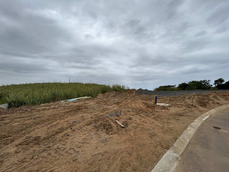 Expansive 1453sqm Stand in The Knoll Precinct H - Photo 4