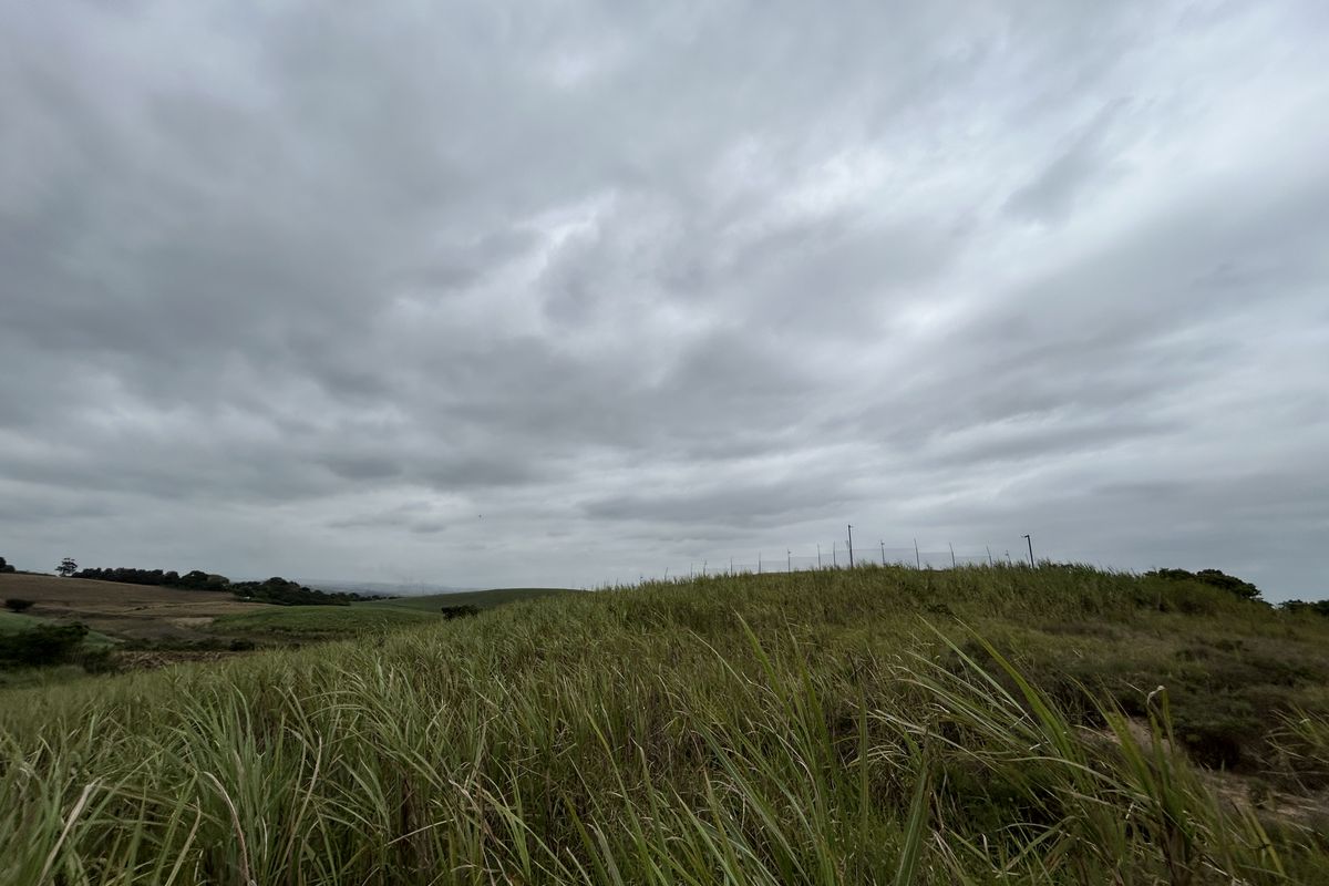 Expansive 1453sqm Stand in The Knoll Precinct H - Photo 5