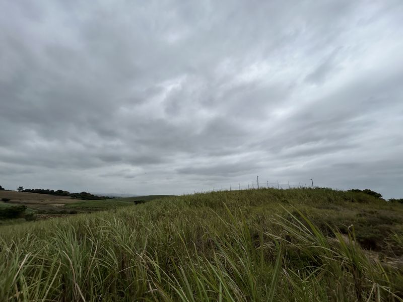 Expansive 1453sqm Stand in The Knoll Precinct H - Photo 5