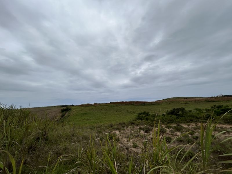 Spacious 1295sqm Stand in The Knoll Precinct H - Photo 8