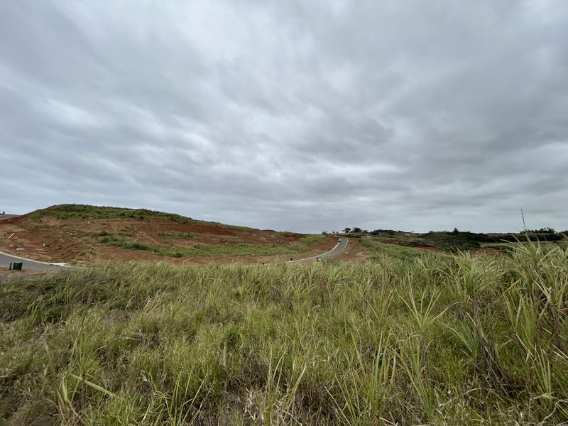 Spacious 1295sqm Stand in The Knoll Precinct H - Photo 7