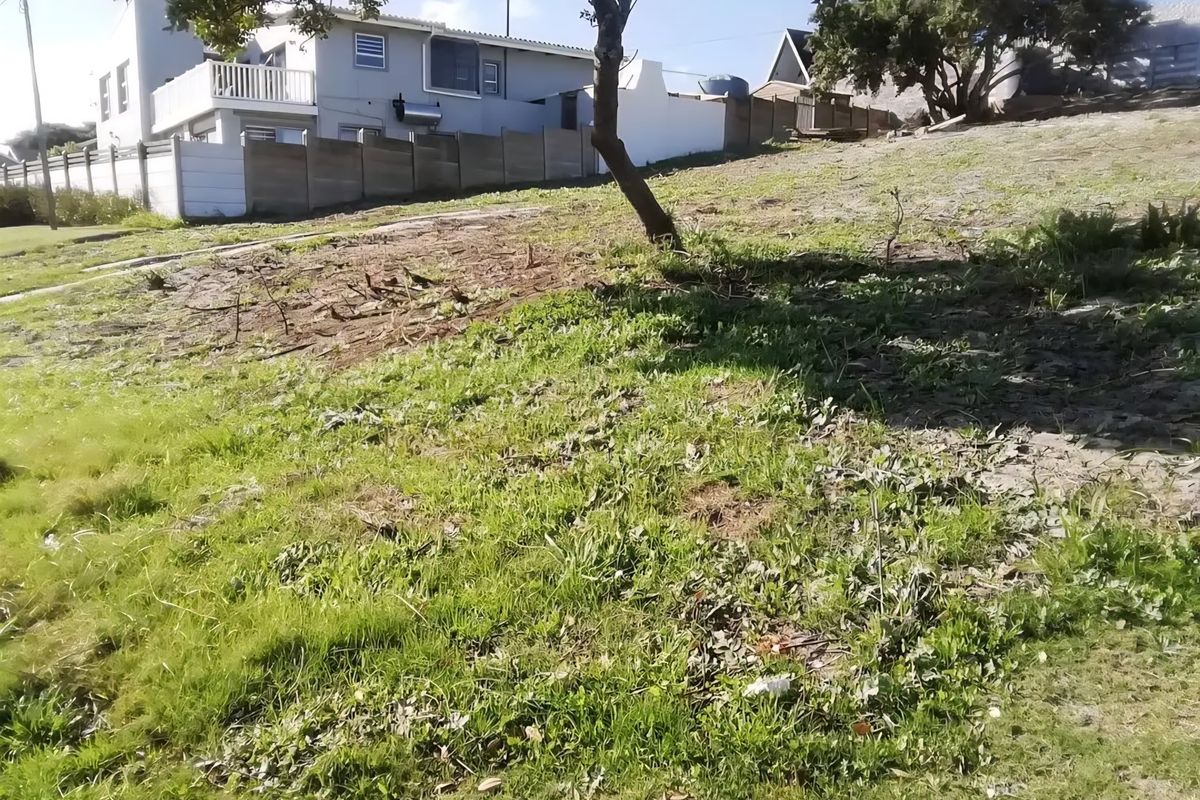 PRIME VACAND STAND IN PARADISE BEACH - Photo 5