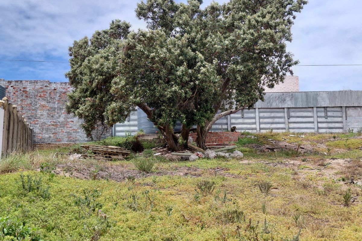 PRIME VACAND STAND IN PARADISE BEACH - Photo 4