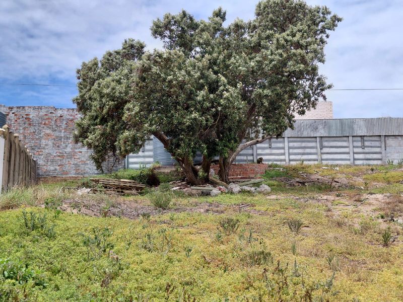 PRIME VACAND STAND IN PARADISE BEACH - Photo 4