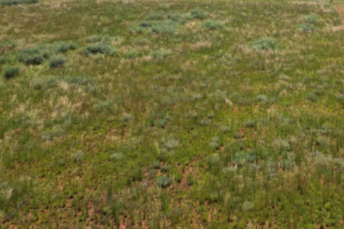 Enjoy the tranquility of Henley on Klip - Photo 3