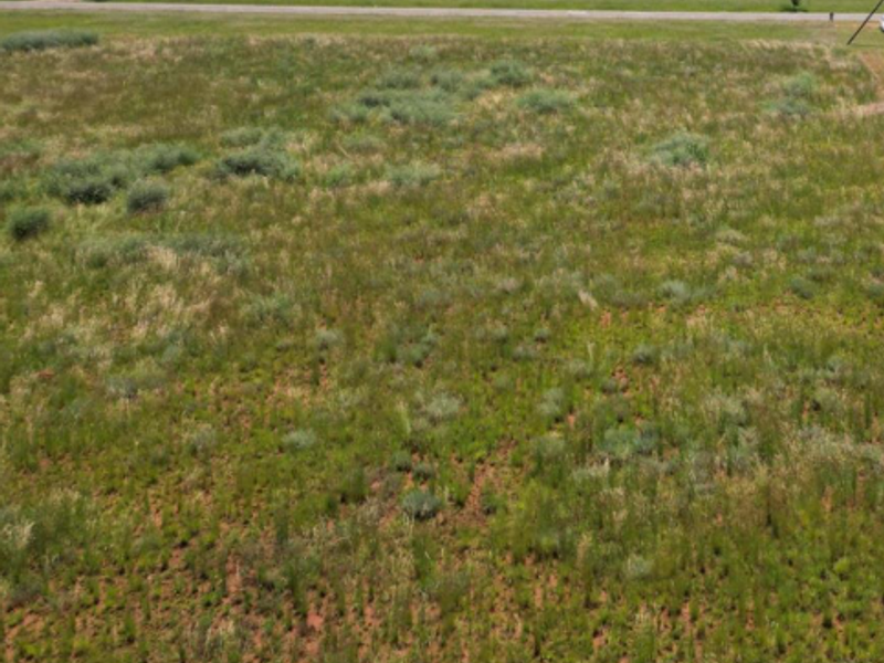 Enjoy the tranquility of Henley on Klip - Photo 3