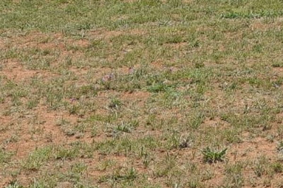 Enjoy the tranquility of Henley on Klip - Photo 4