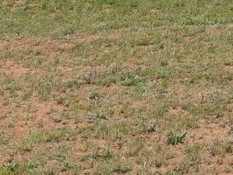 Enjoy the tranquility of Henley on Klip - Photo 4