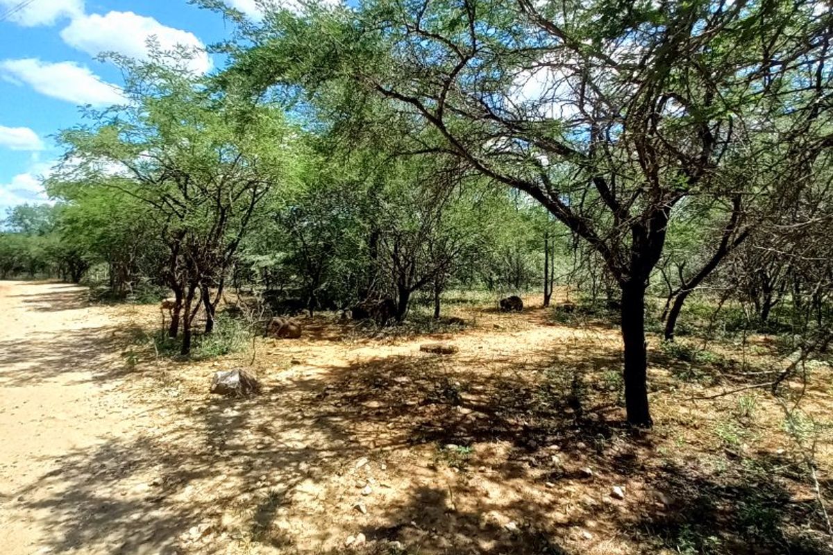 A view of a vacant residential plot featuring natural vegetation, mature trees, and an unpaved access path.