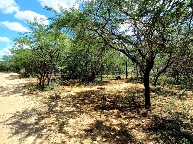 A view of a vacant residential plot featuring natural vegetation, mature trees, and an unpaved access path.