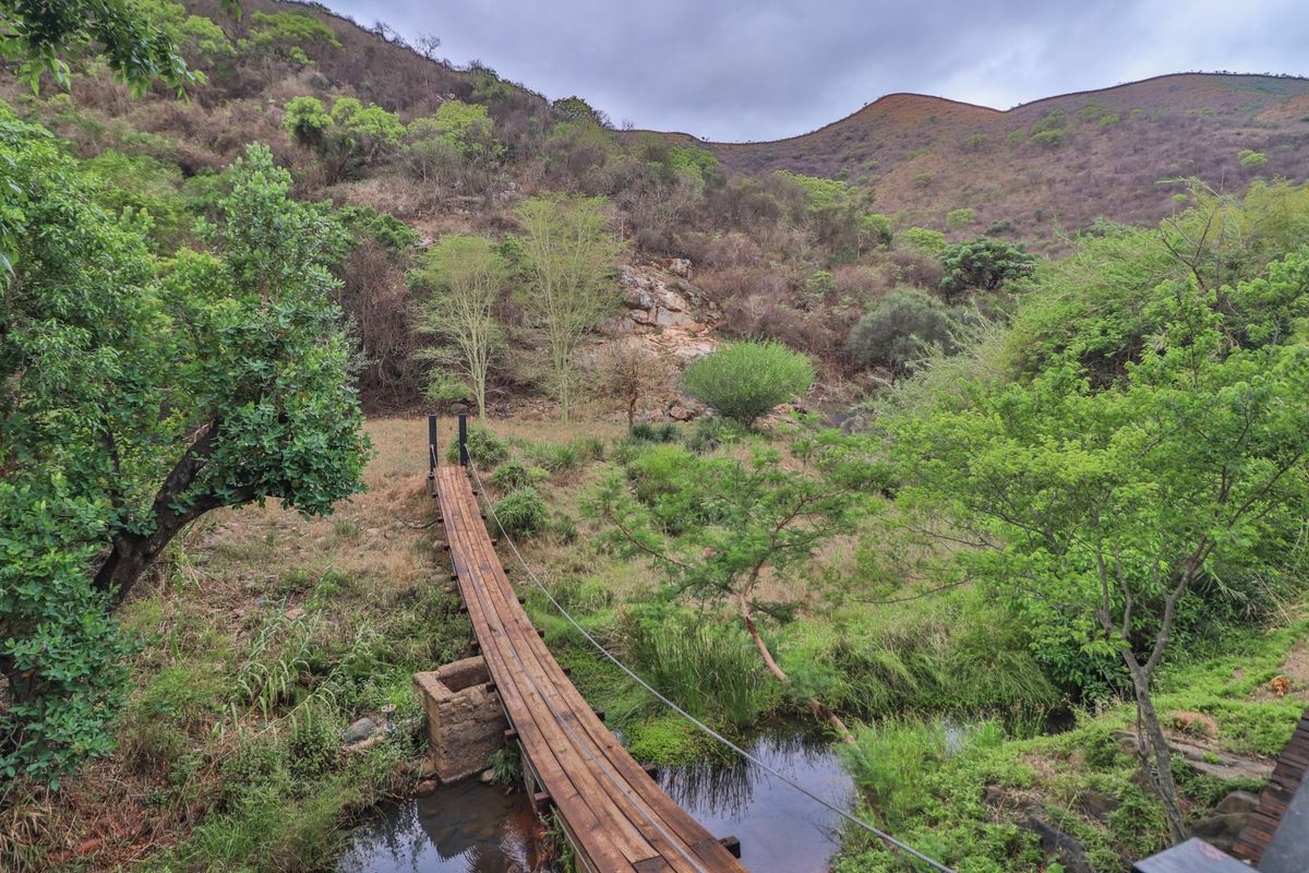 A scenic view of a natural landscape featuring a wooden footbridge crossing a small stream, set against a backdrop of rolling hills and vegetation.