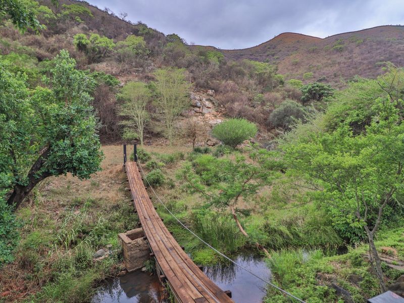 A scenic view of a natural landscape featuring a wooden footbridge crossing a small stream, set against a backdrop of rolling hills and vegetation.
