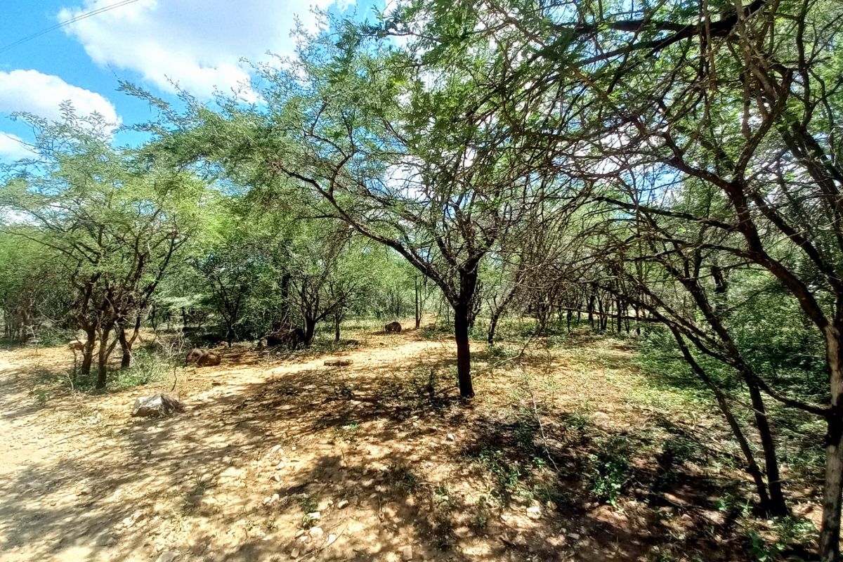 A view of a vacant residential plot featuring mature trees and natural ground cover, suitable for development.