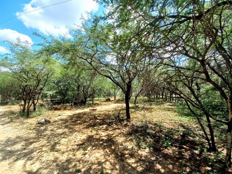 A view of a vacant residential plot featuring mature trees and natural ground cover, suitable for development.