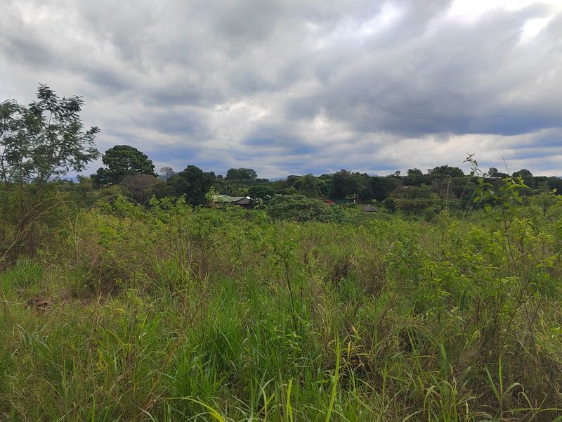 A scenic view of the natural landscape and surrounding greenery on the small holding property under a cloudy sky.