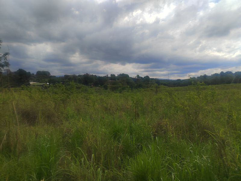 A wide-angle view of the natural landscape and open fields surrounding the property.