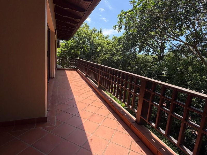 A Private Forest Sanctuary in Zimbali - Photo 9