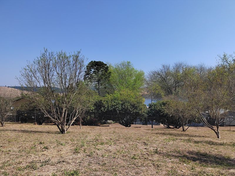 Misty Crown - Sought after Vacant Stands on the Ebenezer Dam For Sale. - Photo 5