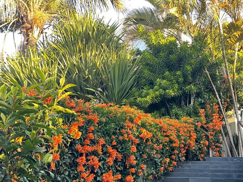 Premium Coastal Living — One Road From the Beach - Photo 7