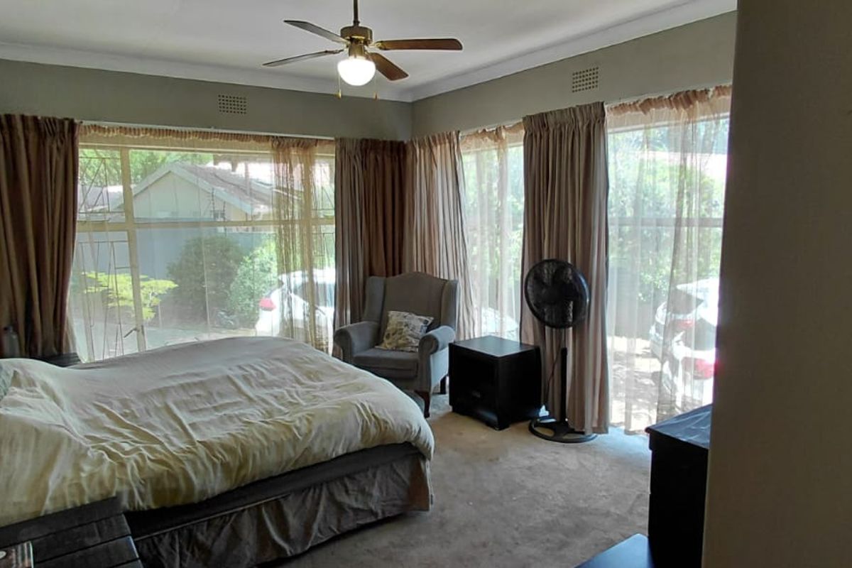A bedroom featuring large windows with curtains, a ceiling fan, and carpeted flooring.
