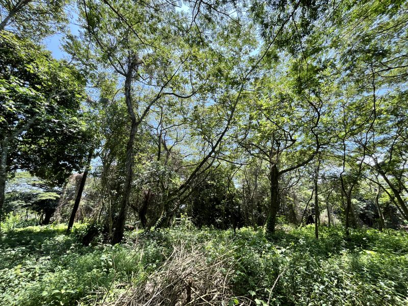 Vacant Land for Sale at Equestrian Edge from R3.8 Million in Seaton Estate - Photo 6