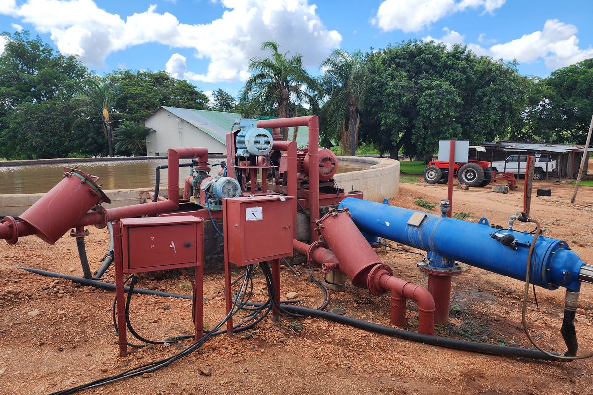 PRIME CITRUS EXPORT FARM FOR SALE – EXCEPTIONAL OPPORTUNITY - Photo 5