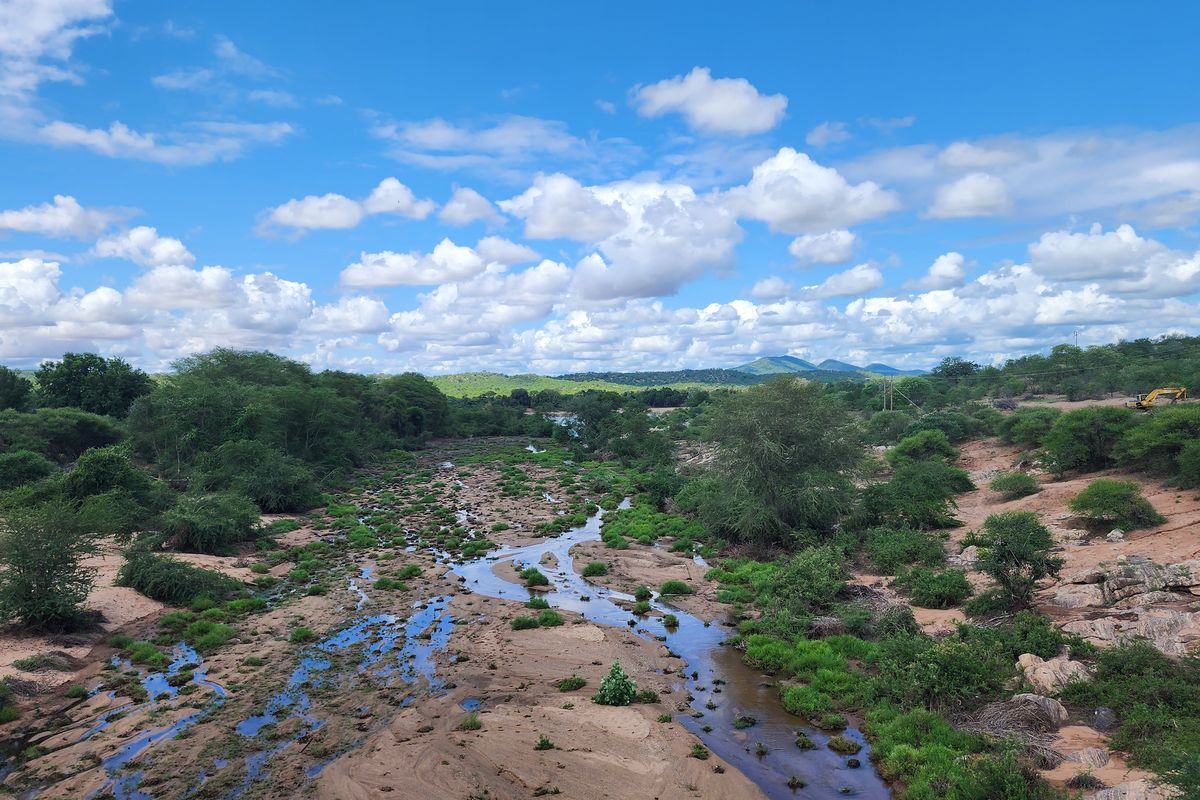 PRIME CITRUS EXPORT FARM FOR SALE – EXCEPTIONAL OPPORTUNITY - Photo 2