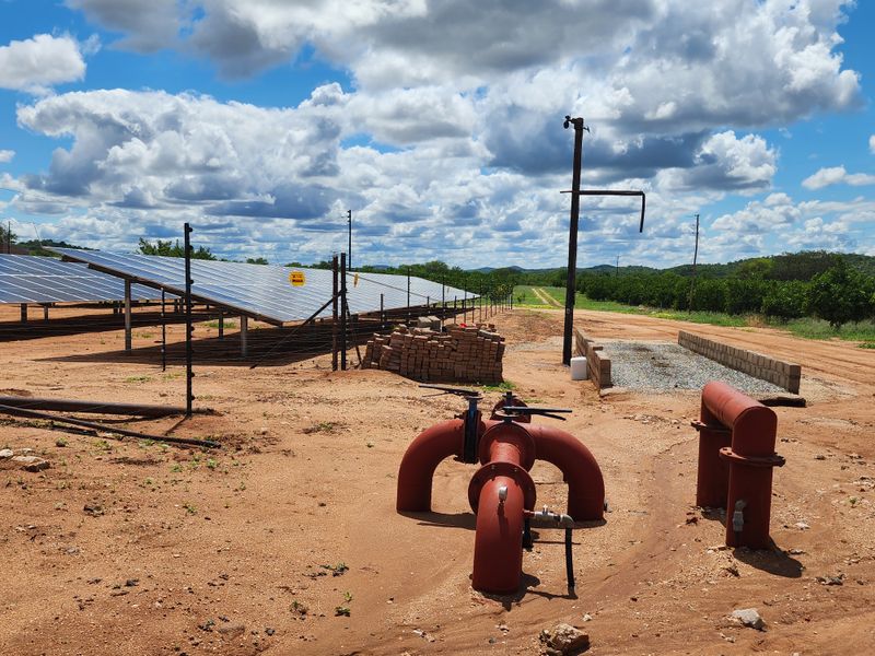 PRIME CITRUS EXPORT FARM FOR SALE – EXCEPTIONAL OPPORTUNITY - Photo 10