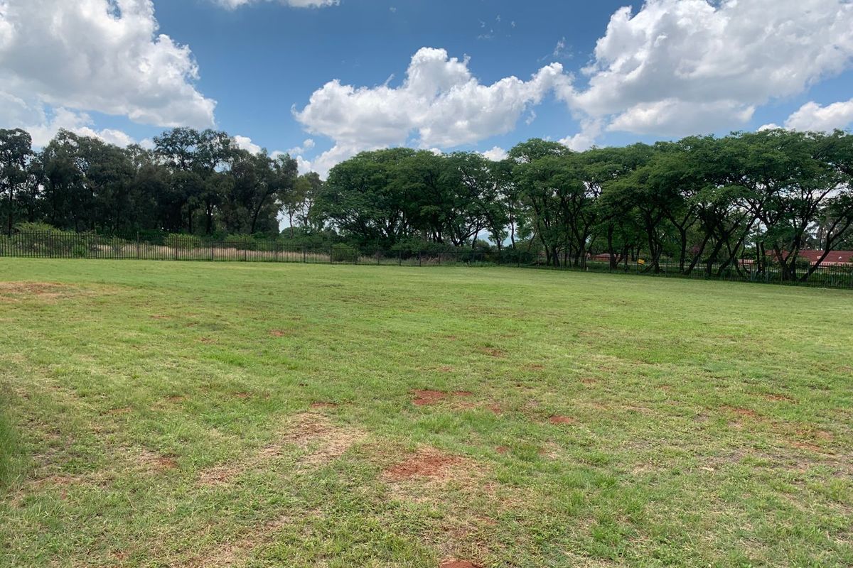 Spacious 6 bedroom smallholding with wide open land. - Photo 4