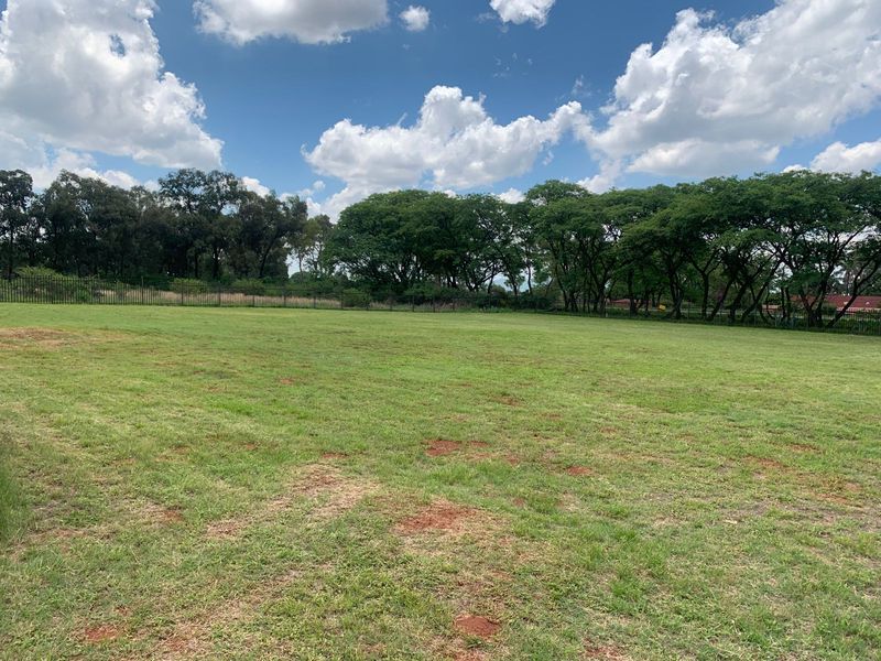 Spacious 6 bedroom smallholding with wide open land. - Photo 4