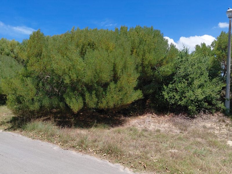 SOLE MANDATE - NEW TO MARKET - VACANT LAND PARADISE BEACH - Photo 1