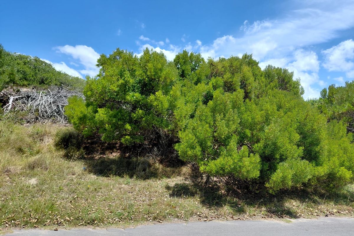 SOLE MANDATE - NEW TO MARKET - VACANT LAND PARADISE BEACH - Photo 4