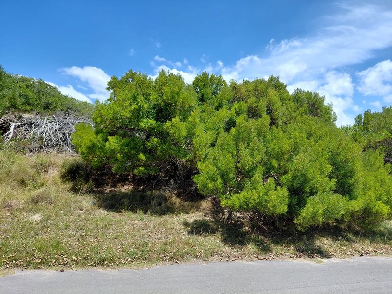 SOLE MANDATE - NEW TO MARKET - VACANT LAND PARADISE BEACH - Photo 4