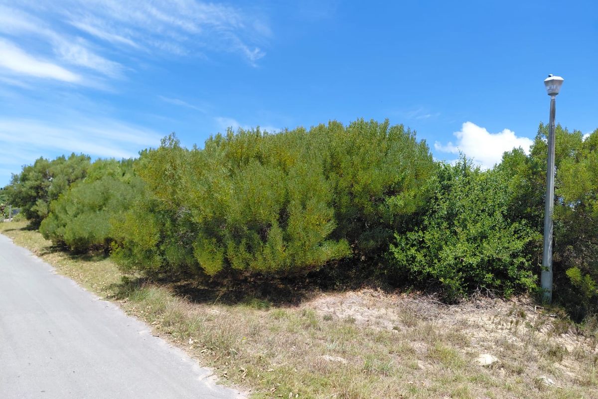 SOLE MANDATE - NEW TO MARKET - VACANT LAND PARADISE BEACH - Photo 3