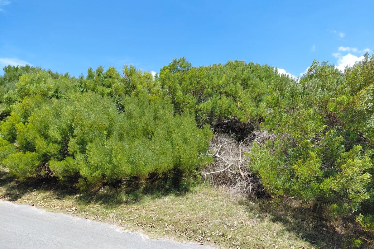 SOLE MANDATE - NEW TO MARKET - VACANT LAND PARADISE BEACH - Photo 2