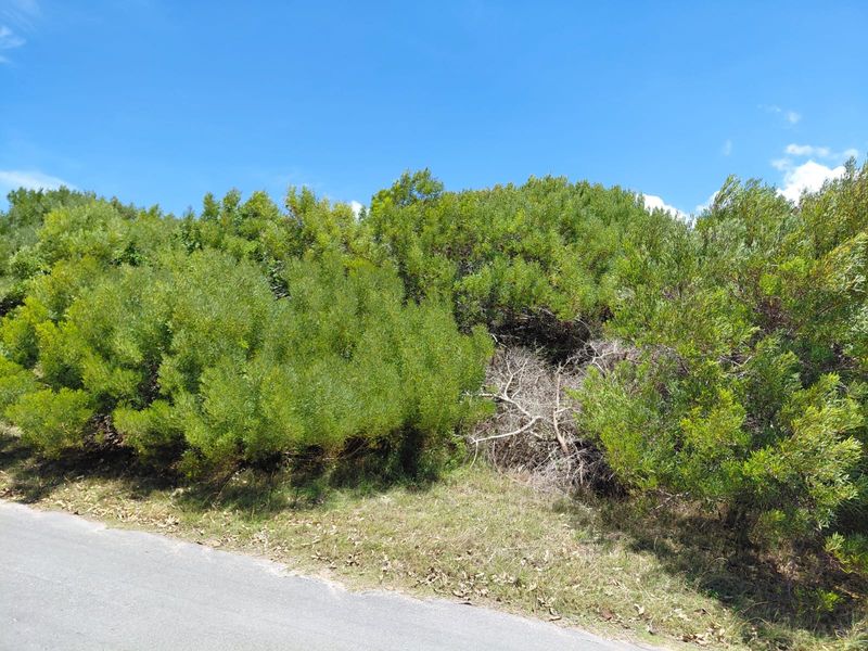 SOLE MANDATE - NEW TO MARKET - VACANT LAND PARADISE BEACH - Photo 2