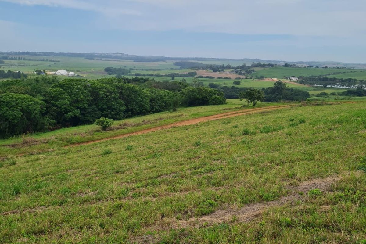 Helmsley Country Estate – Modern Country Living on the North Coast - Photo 3