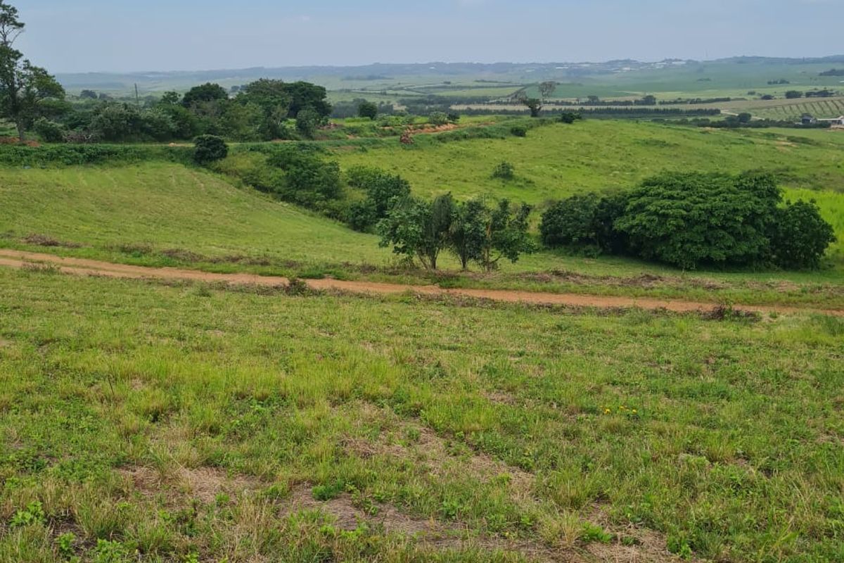 Helmsley Country Estate – Modern Country Living on the North Coast - Photo 2