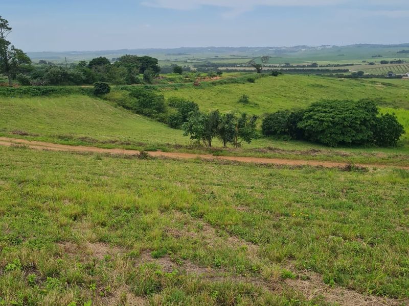 Helmsley Country Estate – Modern Country Living on the North Coast - Photo 2