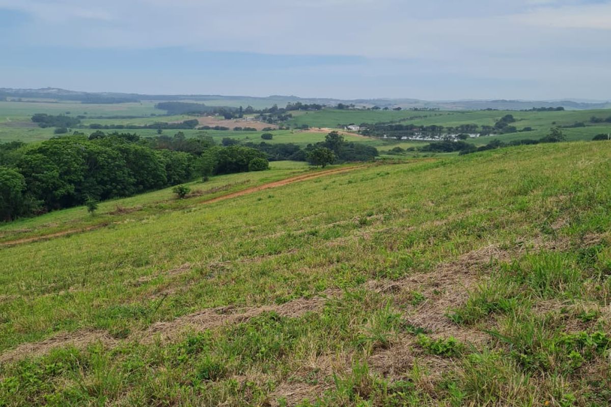 HELMSLEY COUNTRY ESTATE – NATURE | FAMILY | COUNTRY - Photo 3
