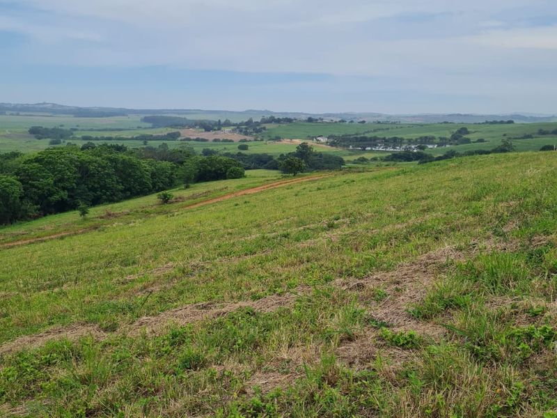 HELMSLEY COUNTRY ESTATE – NATURE | FAMILY | COUNTRY - Photo 3