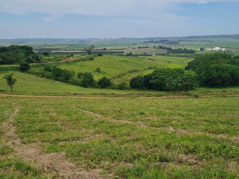 HELMSLEY COUNTRY ESTATE – NATURE | FAMILY | COUNTRY - Photo 2